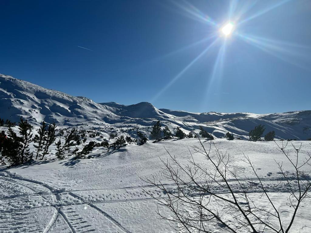 Holiday Home Vila Bjelašnica Kültér fotó
