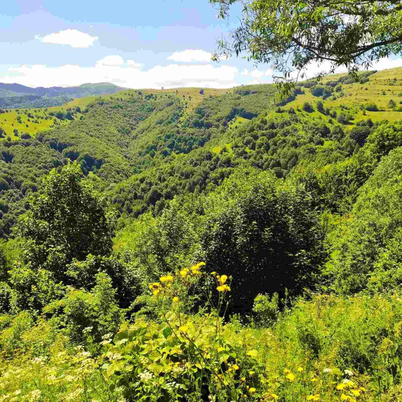 Holiday Home Vila Bjelašnica Kültér fotó